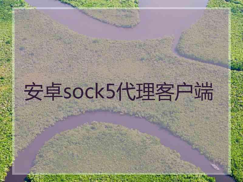 安卓sock5代理客户端