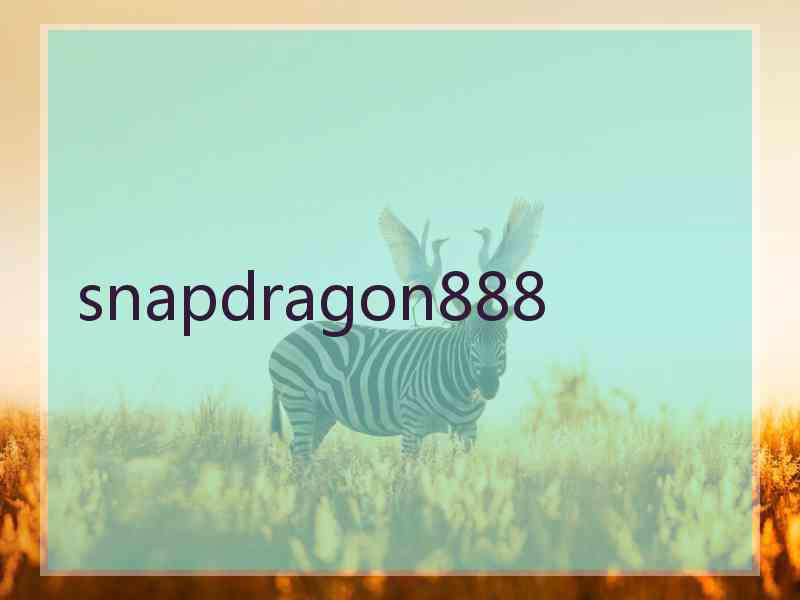 snapdragon888