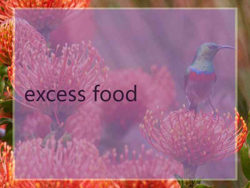 excess food