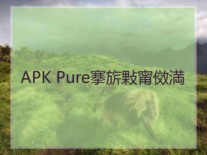 APK Pure搴旂敤甯傚満