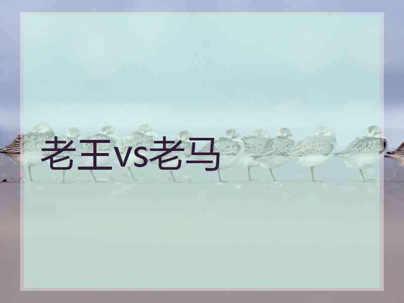 老王vs老马