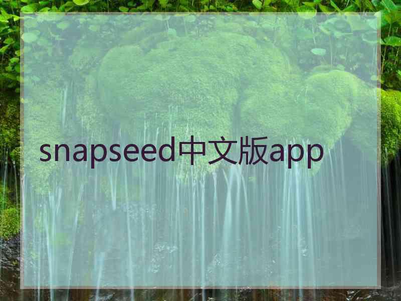 snapseed中文版app